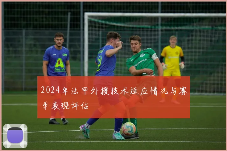 2024年法甲外援技术适应情况与赛季表现评估