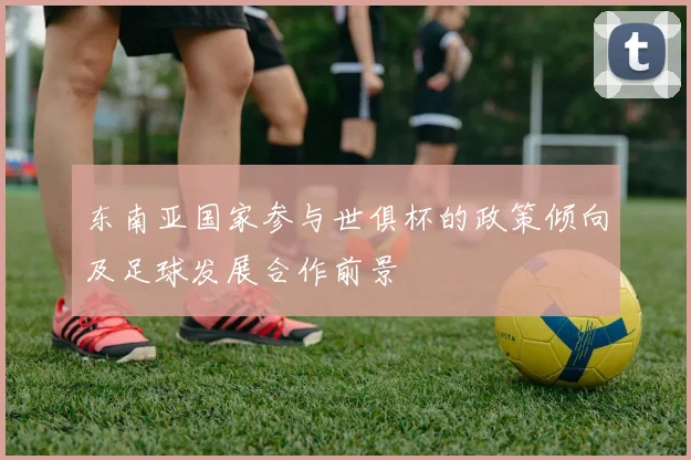 东南亚国家参与世俱杯的政策倾向及足球发展合作前景